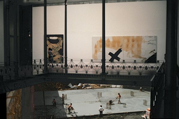 Comment les Réserves Marines Protègent et Sauvegardent Nos Océans